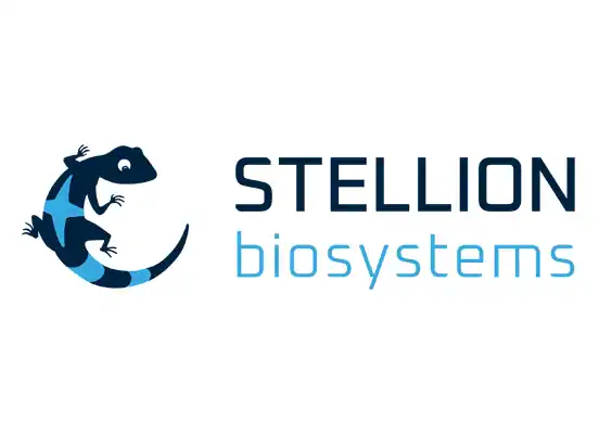stellion